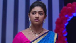 Ninne Pelladatha S01E181 20th February 2019 Full Episode