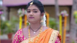 Ninne Pelladatha S01E241 2nd May 2019 Full Episode