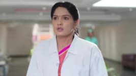 Ninne Pelladatha S01E247 9th May 2019 Full Episode