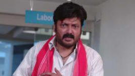 Ninne Pelladatha S01E250 13th May 2019 Full Episode