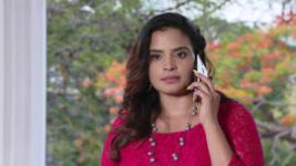 Ninne Pelladatha S01E251 14th May 2019 Full Episode