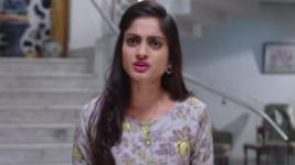 Ninne Pelladatha S01E260 24th May 2019 Full Episode