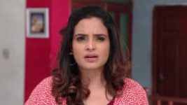 Ninne Pelladatha S01E264 29th May 2019 Full Episode