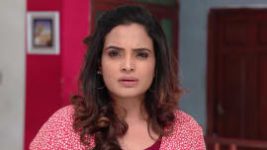 Ninne Pelladatha S01E265 30th May 2019 Full Episode