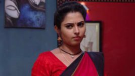 Ninne Pelladatha S01E277 13th June 2019 Full Episode