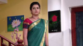 Ninne Pelladatha S01E293 2nd July 2019 Full Episode