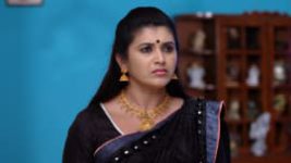 Ninne Pelladatha S01E354 11th September 2019 Full Episode