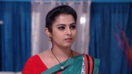 Ninne Pelladatha S01E439 19th December 2019 Full Episode