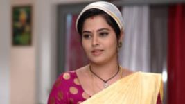 Ninne Pelladatha S01E684 24th December 2020 Full Episode