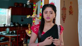 Nuvvu Nenu Prema S01 E184 Padmavathi Has Doubts