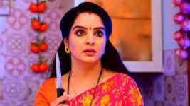 Oohalu Gusagusalade S01E203 31st December 2021 Full Episode