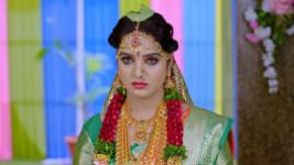 Oohalu Gusagusalade S01E84 14th August 2021 Full Episode