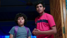 Paape Maa Jeevana Jyothi S01 E493 Vamsi, Harsha in Trouble?