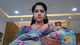 Paape Maa Jeevana Jyothi S01 E509 What Is Jyothi Upto?