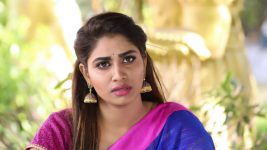 Pagal Nilavu S06E370 Sneha Gets Trapped Full Episode