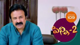 Pinni 2 S01E109 24th November 2020 Full Episode