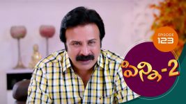 Pinni 2 S01E123 10th December 2020 Full Episode