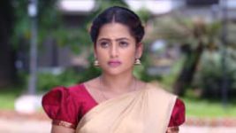 Piriyadha Varam Vendum S01E114 25th November 2019 Full Episode