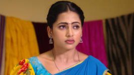 Piriyadha Varam Vendum S01E118 29th November 2019 Full Episode