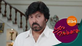 Poove Unakkaga S01 E234 24th May 2021