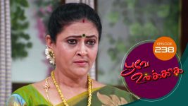 Poove Unakkaga S01 E238 31st May 2021