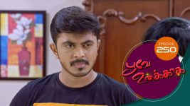 Poove Unakkaga S01 E250 14th June 2021