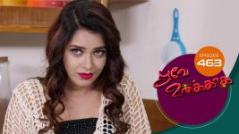 Poove Unakkaga S01 E463 28th February 2022