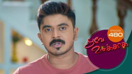 Poove Unakkaga S01 E480 19th March 2022