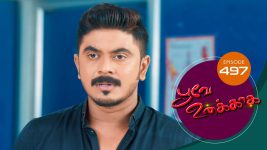 Poove Unakkaga S01 E497 7th April 2022