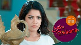 Poove Unakkaga S01 E513 27th April 2022