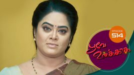 Poove Unakkaga S01 E514 28th April 2022