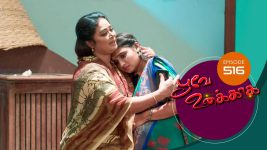 Poove Unakkaga S01 E516 30th April 2022