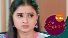 Poove Unakkaga S01 E533 20th May 2022