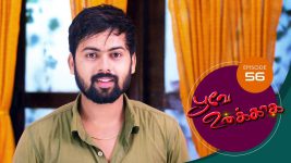 Poove Unakkaga S01 E56 19th October 2020