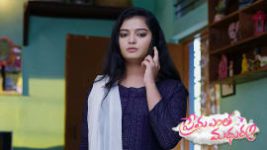 Prema Entha Maduram S01E160 13th November 2020 Full Episode