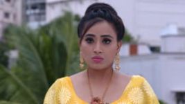 Prema (Telugu) S01E203 7th August 2019 Full Episode