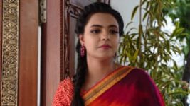 Prema (Telugu) S01E313 13th December 2019 Full Episode