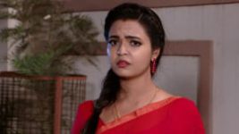 Prema (Telugu) S01E338 11th January 2020 Full Episode