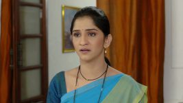 Raja Rani Chi Ga Jodi S01E257 31st January 2021 Full Episode