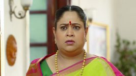 Raja Rani Chi Ga Jodi S01E272 17th February 2021 Full Episode