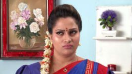 Raktha Sambandam S01E227 19th February 2019 Full Episode