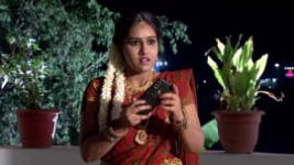 Raktha Sambandam S01E246 15th March 2019 Full Episode