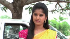 Raktha Sambandam S01E303 20th May 2019 Full Episode