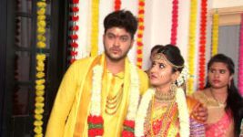 Raktha Sambandam S01E444 1st November 2019 Full Episode