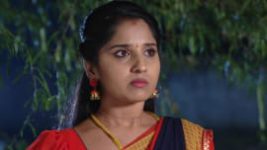 Raktha Sambandam S01E463 23rd November 2019 Full Episode