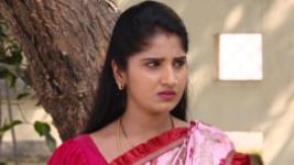 Raktha Sambandam S01E569 26th March 2020 Full Episode