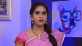 Raktha Sambandam S01E602 28th July 2020 Full Episode