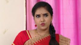 Raktha Sambandam S01E616 13th August 2020 Full Episode