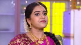 Raktha Sambandam S01E691 9th November 2020 Full Episode