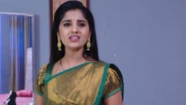 Raktha Sambandam S01E735 30th December 2020 Full Episode